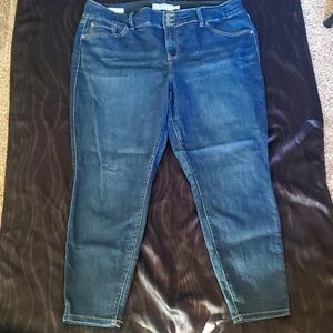 Torrid Dark Wash Denim Jegging